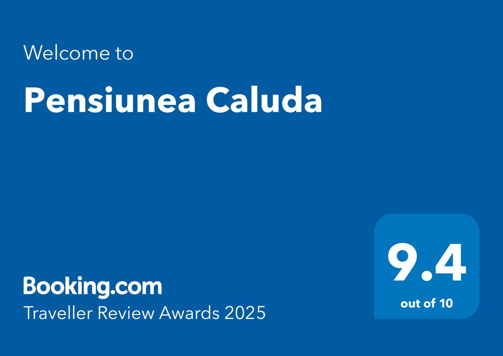 ホテル Pensiunea Caluda ナボダリ エクステリア 写真